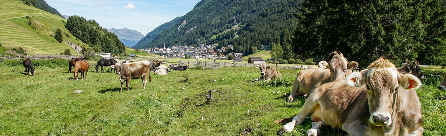 Ischgl alpenweide zomer